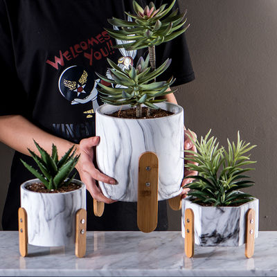 Table Pots Succulents Plant Pots Homewares ของตกแต่ง Mini Cement Flower Pots Marbled Texture Planters